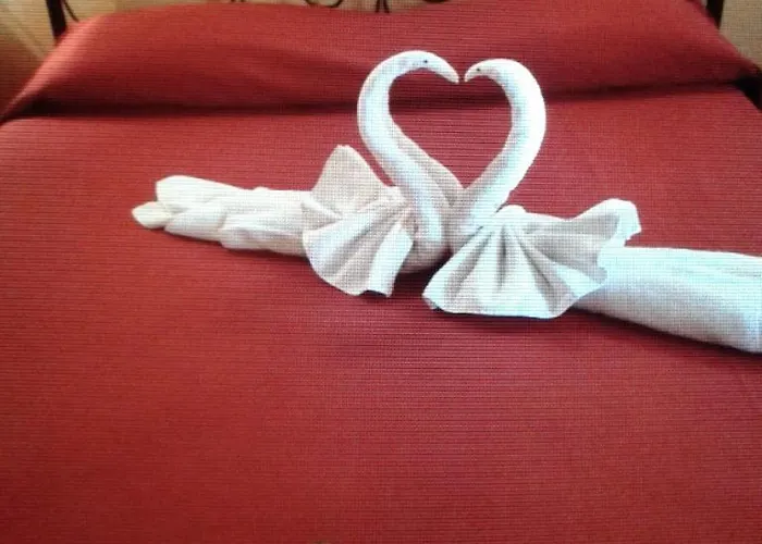 Pignatelli 게스트하우스